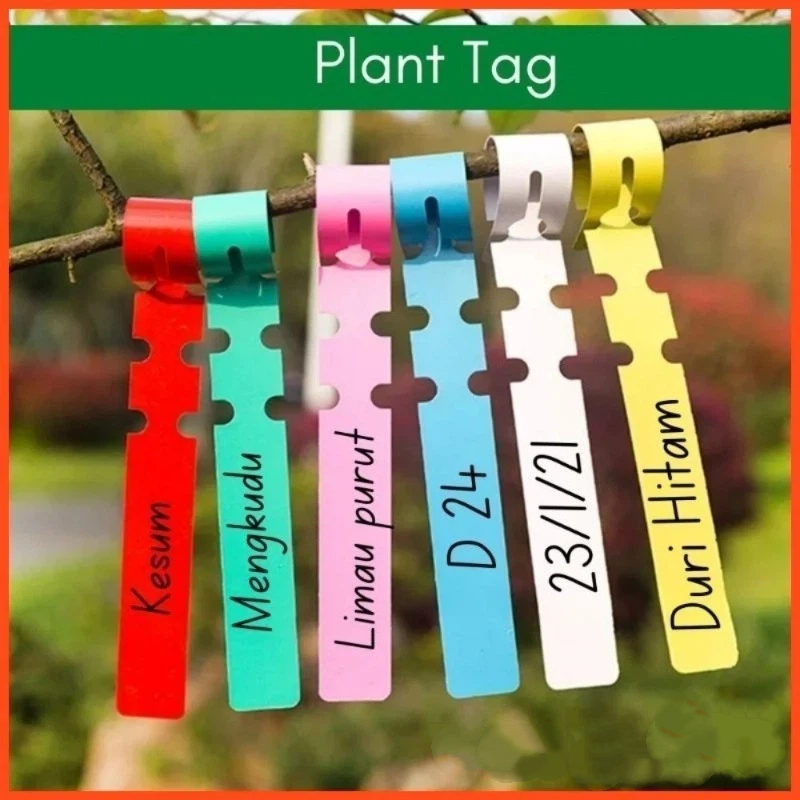 Plant Label Tags - بطاقة تعريف النباتات / علامة تعريف