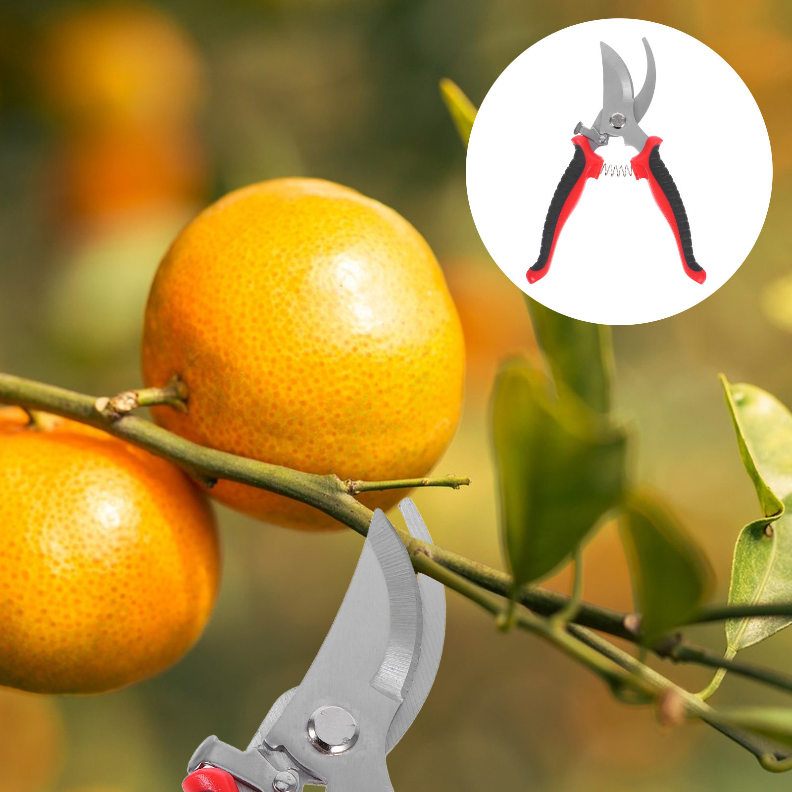 Gardening Tools To Cut Branches - مقصات تقليم الحدائق، مقصات قص معدنية