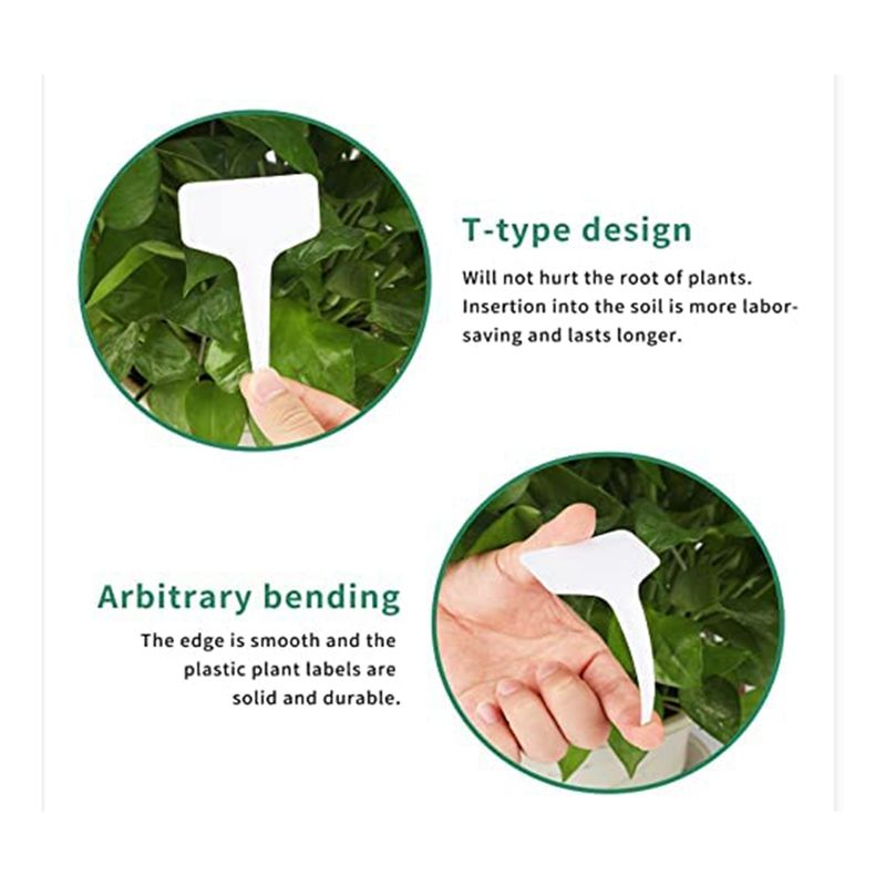 Gardening Tools Names - ملصقات نباتات RANA 300 قطعة 4