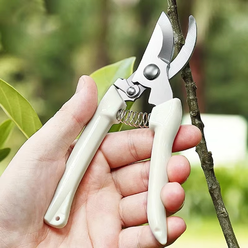 مقص تقليم من الفولاذ المقاوم ل - مراجعة Gardening Tools To Cut Branches وسعره