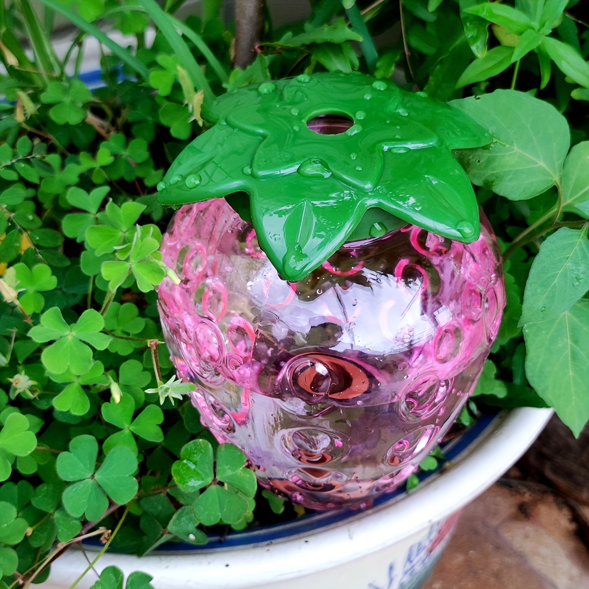 نظام ري بالتنقيط أوتوماتيكي دا - مراجعة Gardening Tools Water وسعره