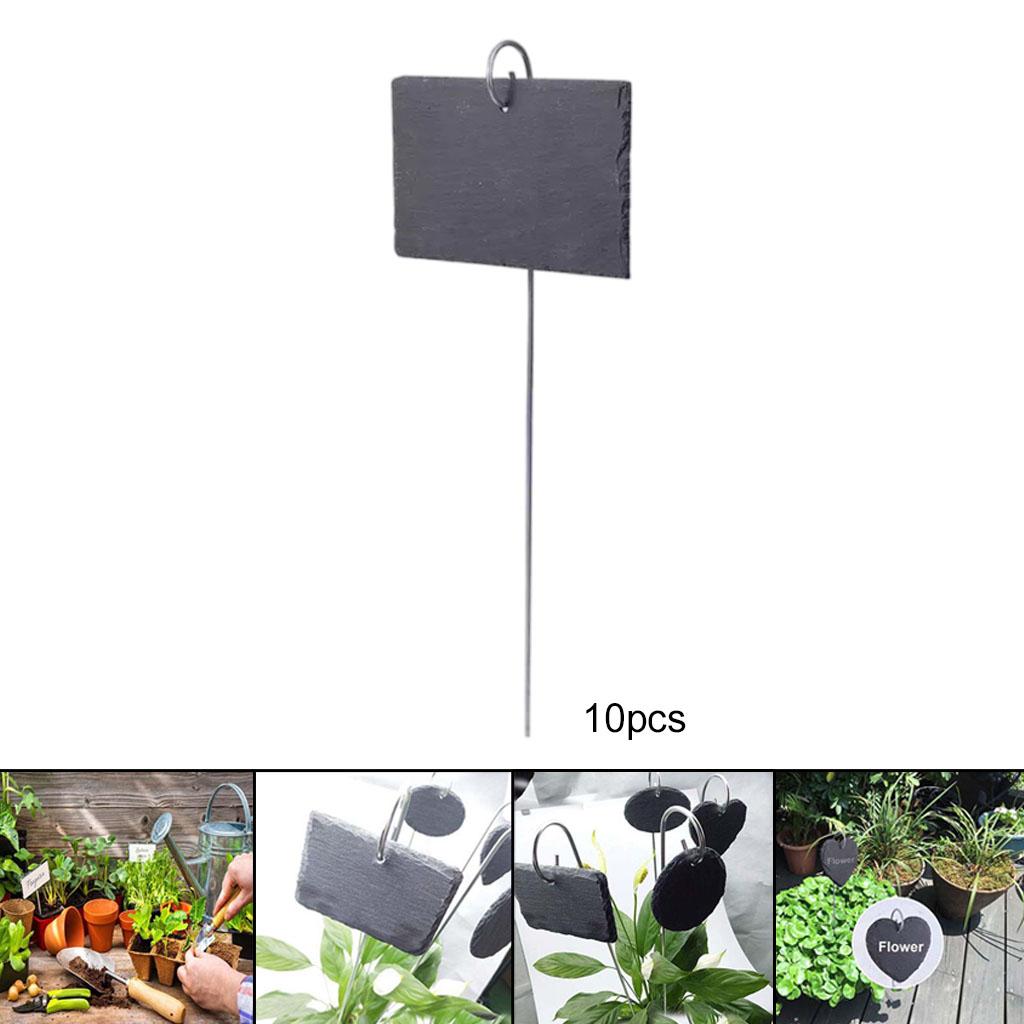 بطاقات تعريف النباتات، علامات  - مراجعة Plant Label Tags وسعره