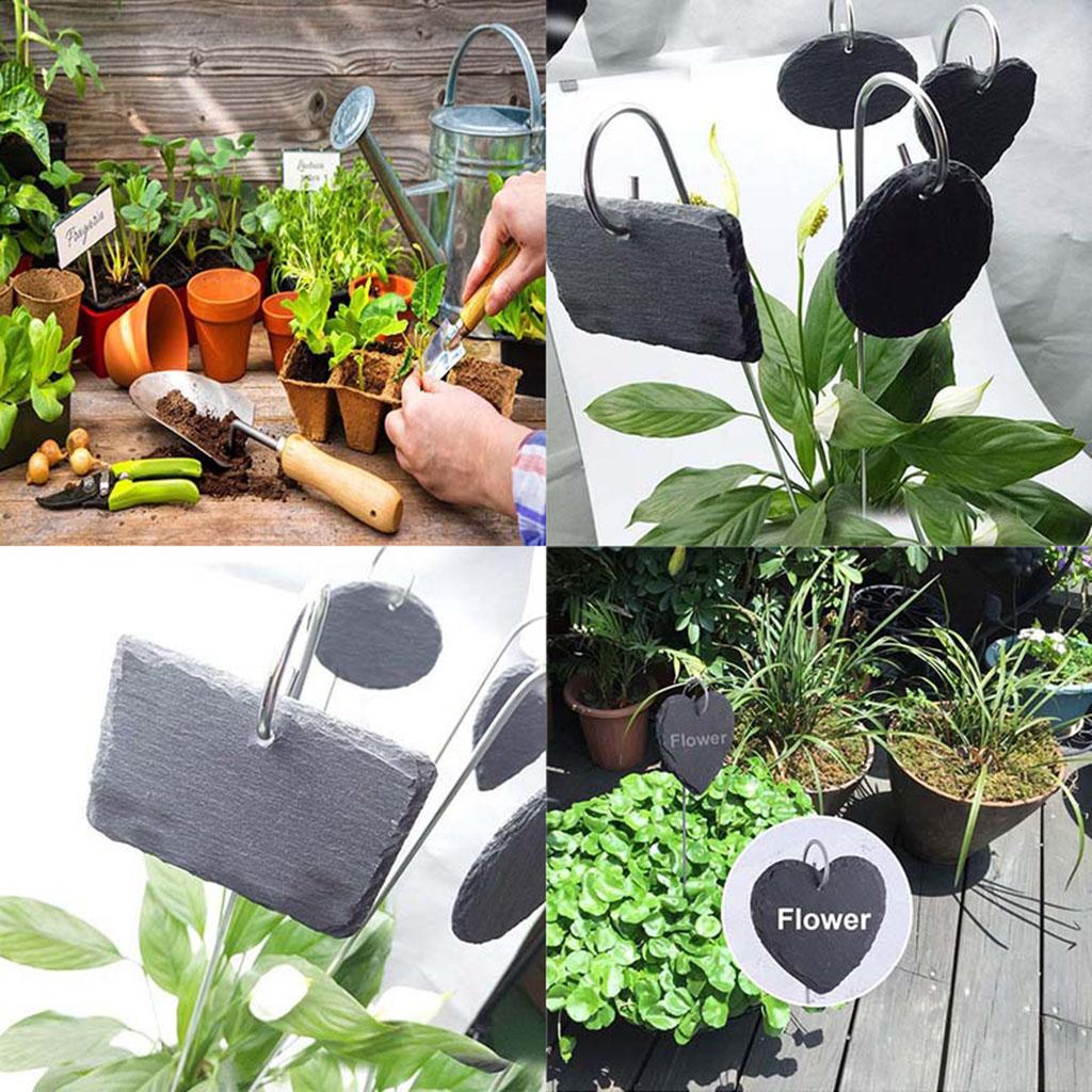 بطاقات تعريف النباتات، علامات  - مراجعة Plant Label Tags وسعره