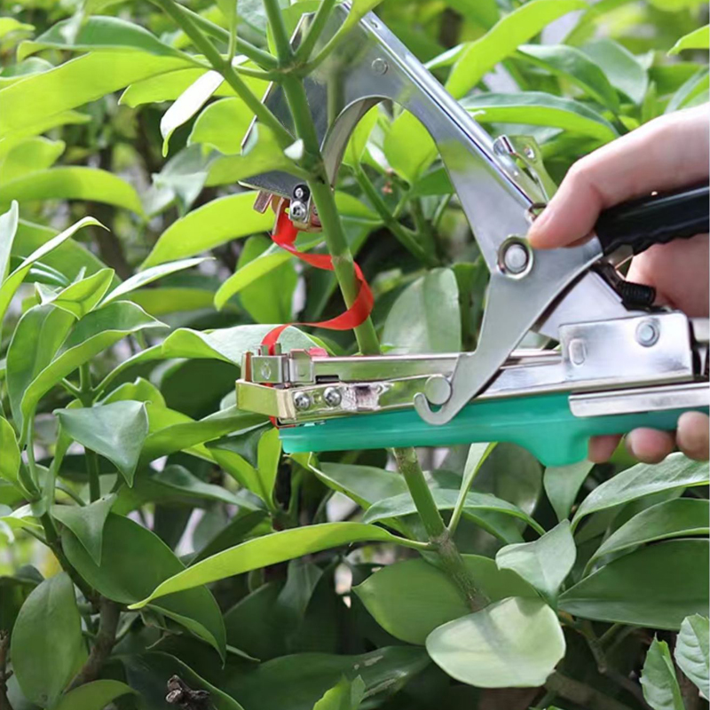 آلة ربط وربط الأغصان للنباتات  - مراجعة Gardening Tools Kit For Home Garden وسعره
