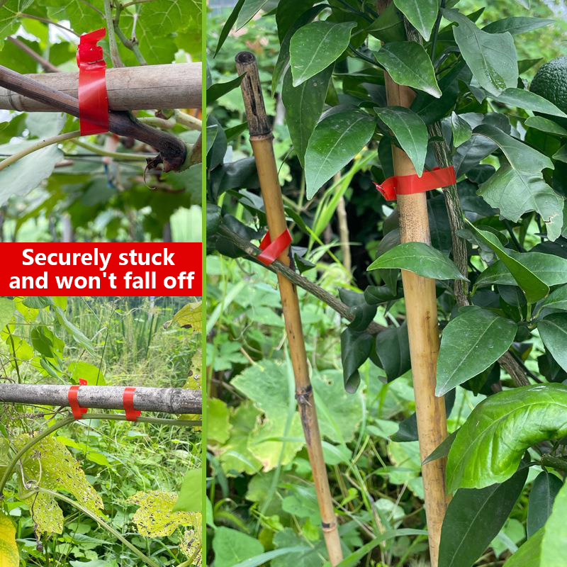 آلة ربط وربط الأغصان للنباتات  - مراجعة Gardening Tools Kit For Home Garden وسعره