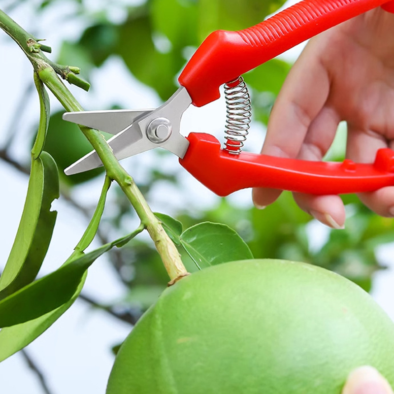 مقص تقليم أحادي اليد لتقليم ال - مراجعة Gardening Tools To Cut Branches وسعره