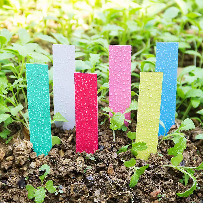 100 قطعة تسميات نباتات الحديقة - مراجعة Plant Label Tags وسعره