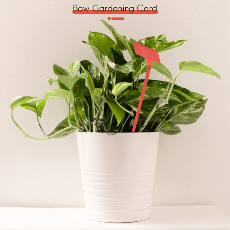 أدوات زراعة الحدائق ABYP 50 قط - مراجعة Plant Label Tags وسعره