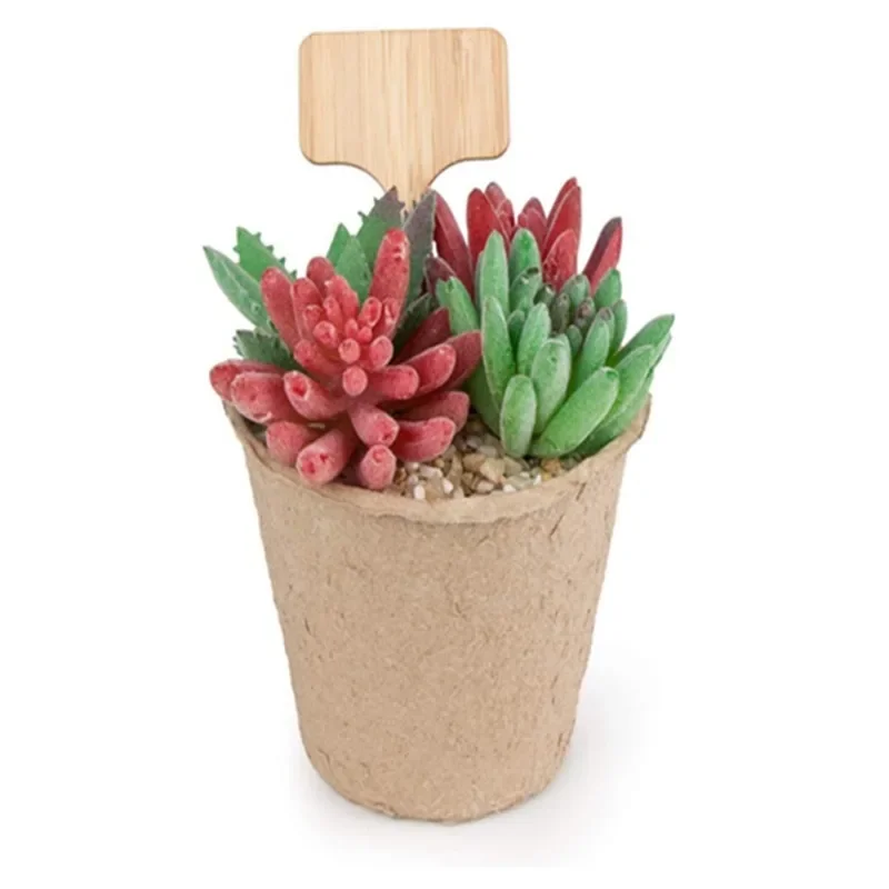 10 قطعة T-نوع ملصقات النباتات  - مراجعة Plant Label Tags وسعره