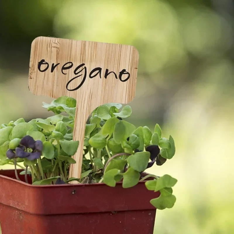 10 قطعة T-نوع ملصقات النباتات  - مراجعة Plant Label Tags وسعره