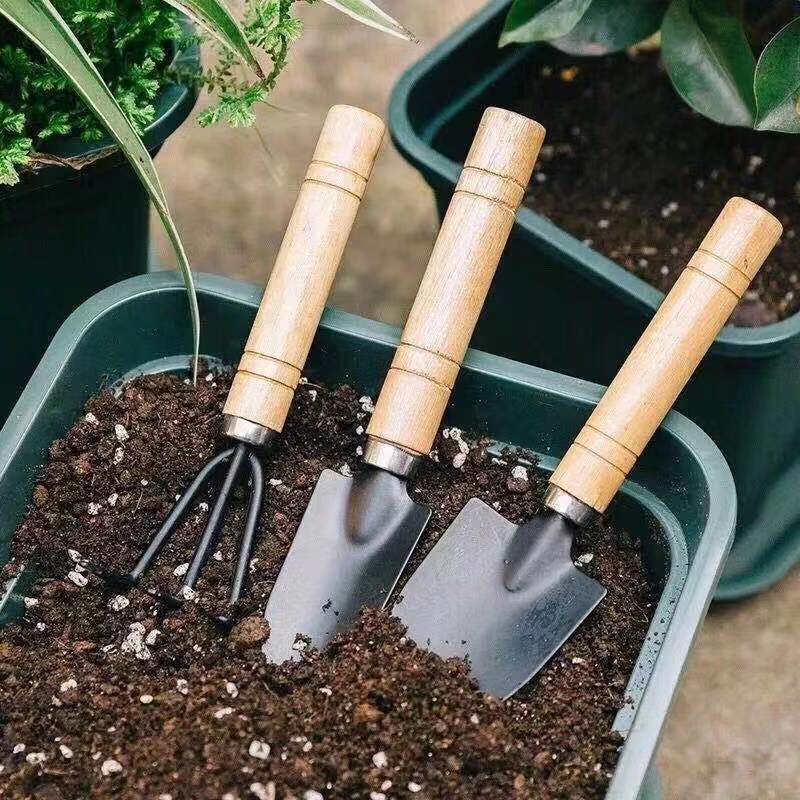 3 قطعة/1 مجموعة أدوات البستنة  - مراجعة Gardening Tools Gifts وسعره