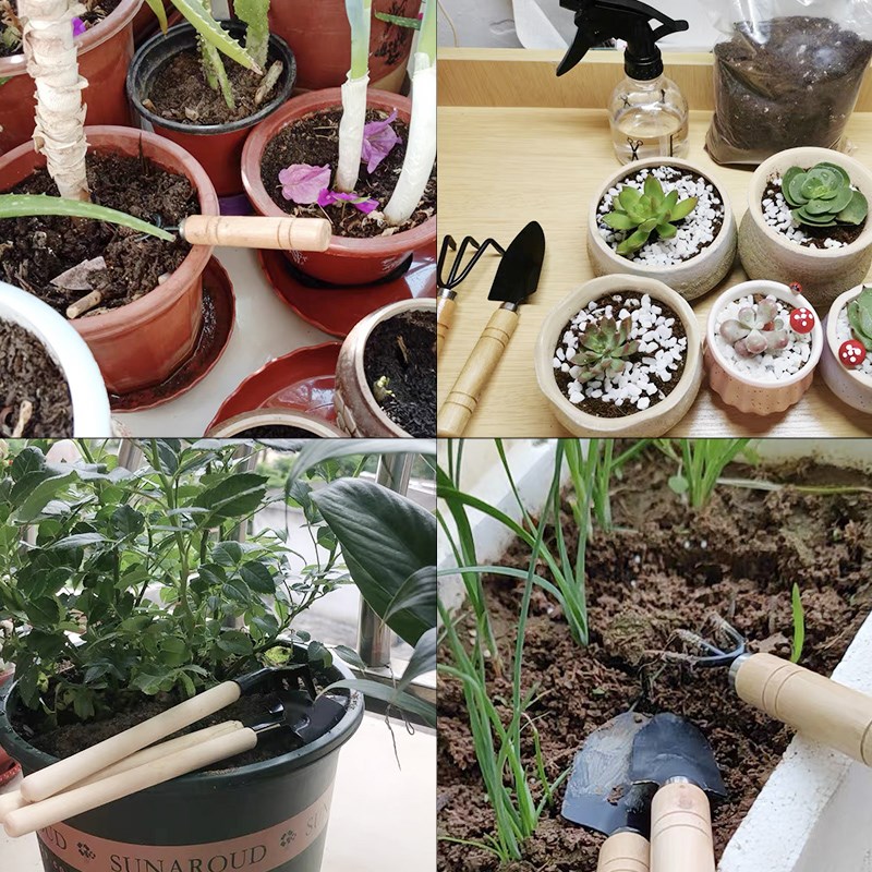 3 قطعة/1 مجموعة أدوات البستنة  - مراجعة Gardening Tools Gifts وسعره