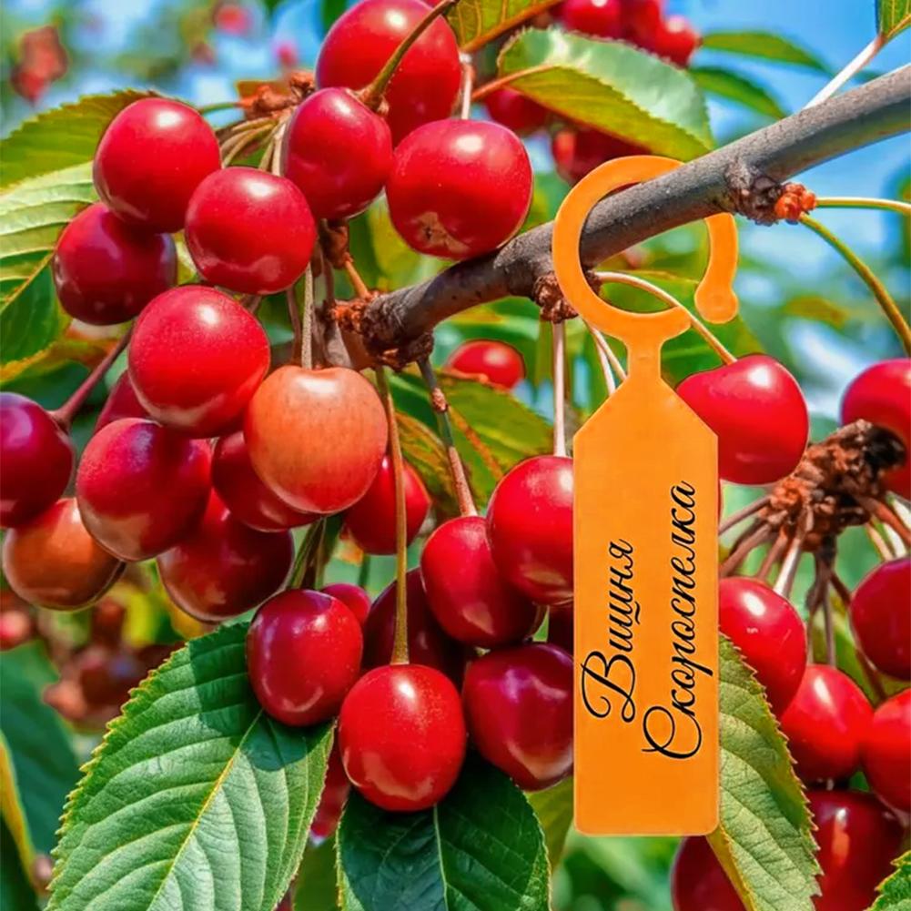 علامات تعريف للنباتات في الحدا - مراجعة Plant Label Tags وسعره