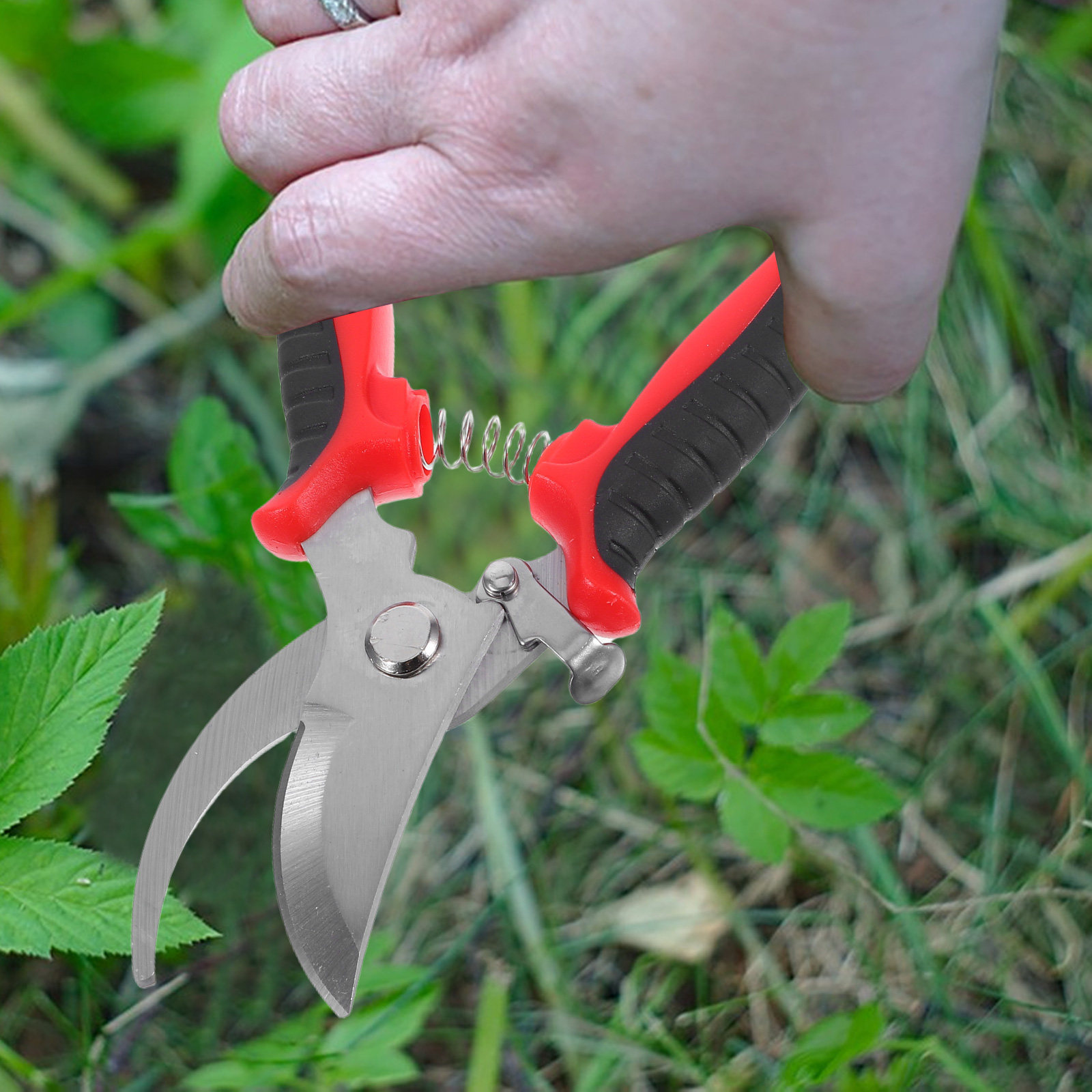 مقصات تقليم الحدائق، مقصات قص  - مراجعة Gardening Tools To Cut Branches وسعره