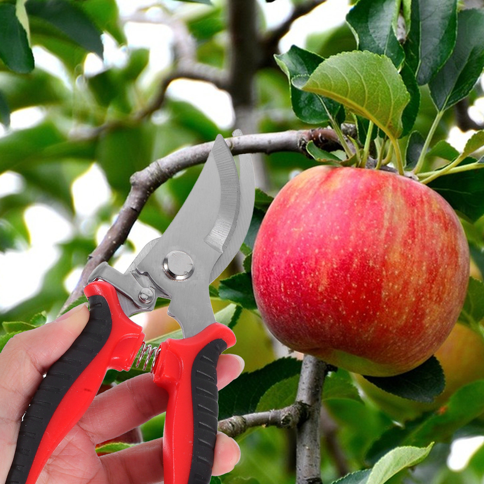 مقصات تقليم الحدائق، مقصات قص  - مراجعة Gardening Tools To Cut Branches وسعره