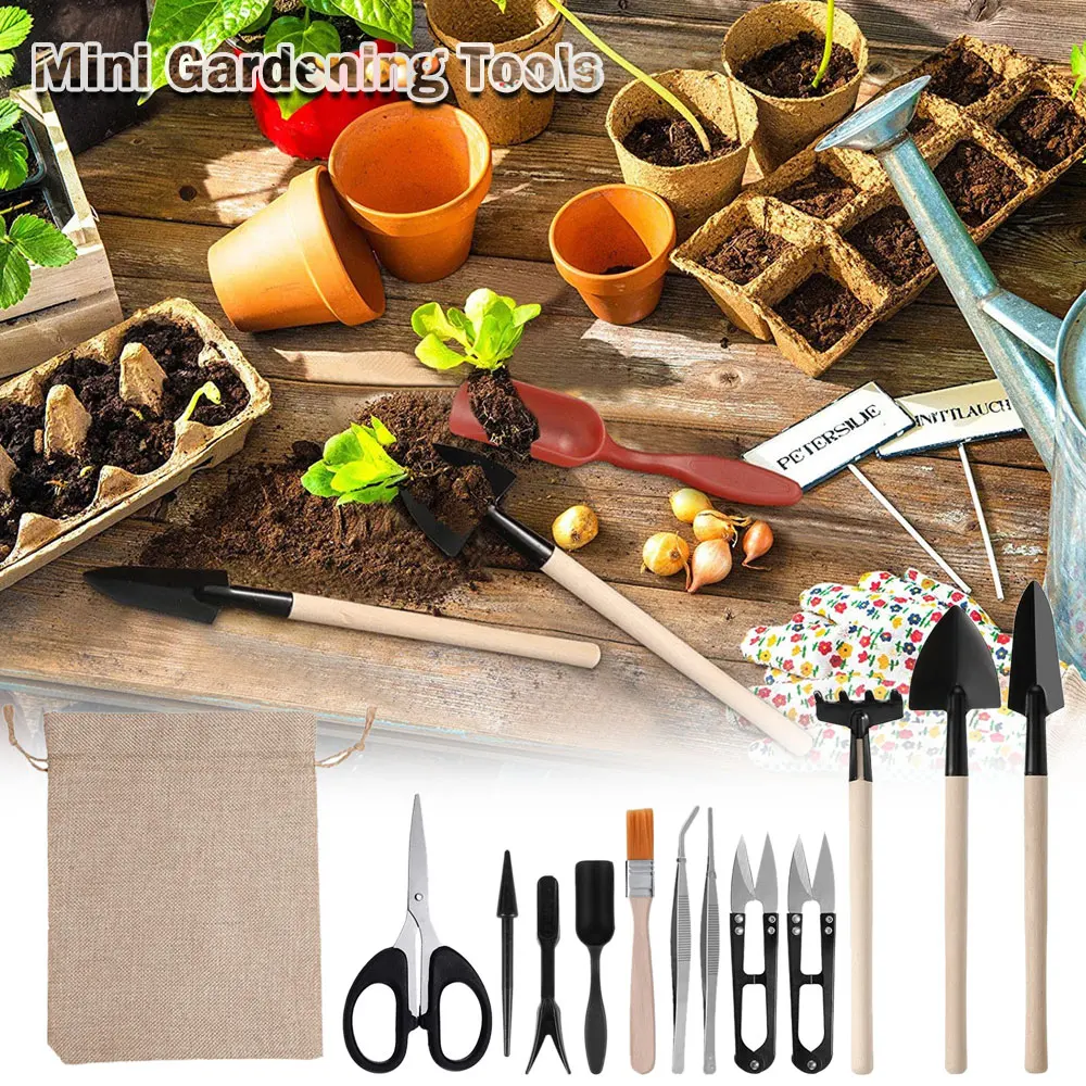 مجموعة أدوات النباتات العصارية - مراجعة Gardening Tools Kit For Home Garden وسعره