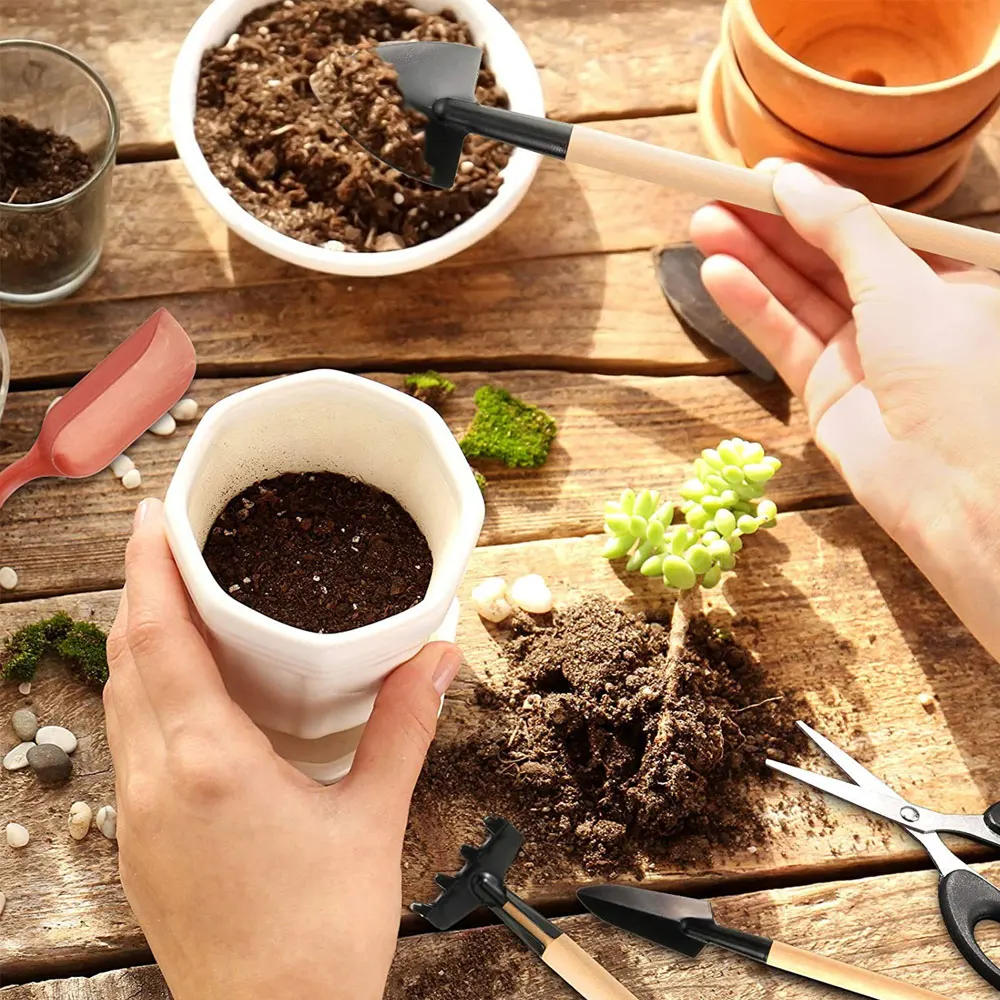 مجموعة أدوات النباتات العصارية - مراجعة Gardening Tools Kit For Home Garden وسعره