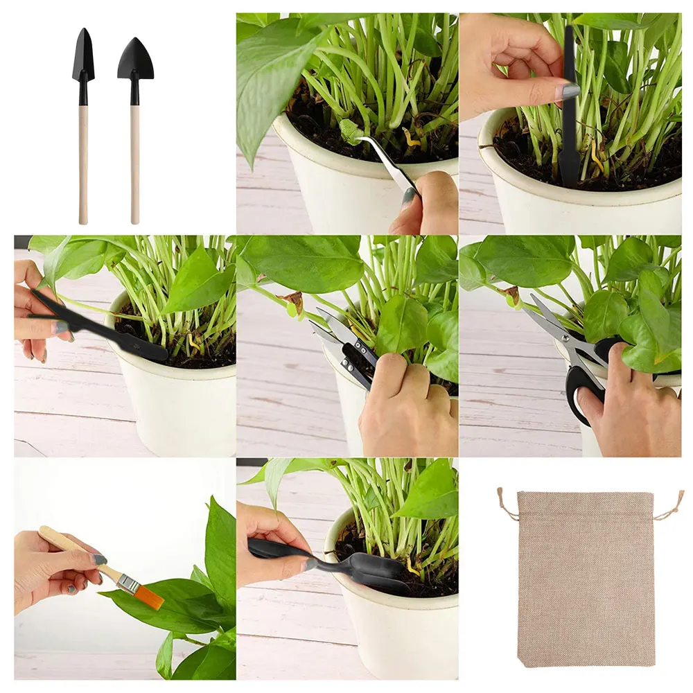مجموعة أدوات النباتات العصارية - مراجعة Gardening Tools Kit For Home Garden وسعره