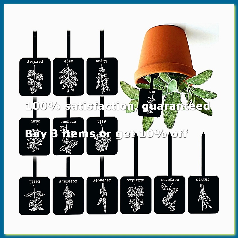 24 قطعة من لوحات تعريف النباتا - مراجعة Gardening Tools Names وسعره