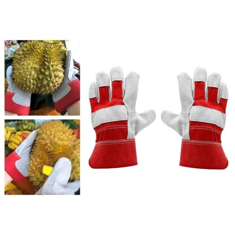 قفازات حدائق من جلد البقر مقاو - مراجعة Garden Gloves Thorn Proof وسعره