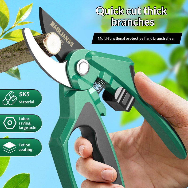 2026 فروع جديدة المقلم حديقة و - مراجعة Gardening Tools To Cut Branches وسعره