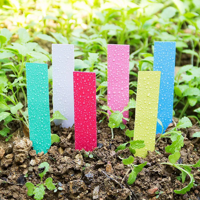 100 قطعة سميكة 4 بوصة تسميات ا - مراجعة Plant Label Tags وسعره