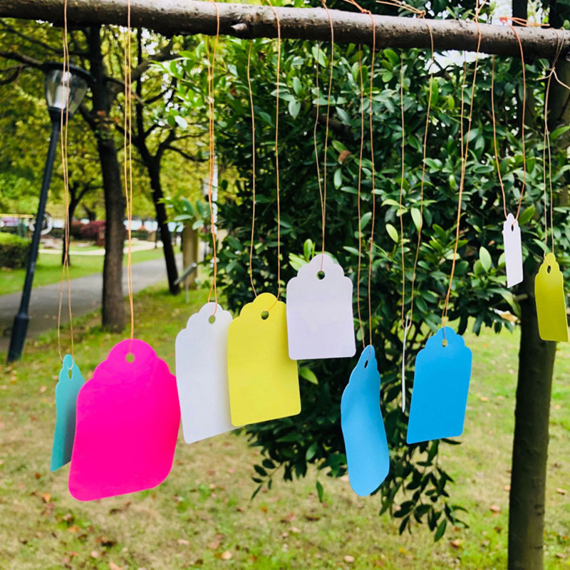 تسميات النبات مع حبل ، علامة م - مراجعة Plant Label Tags وسعره