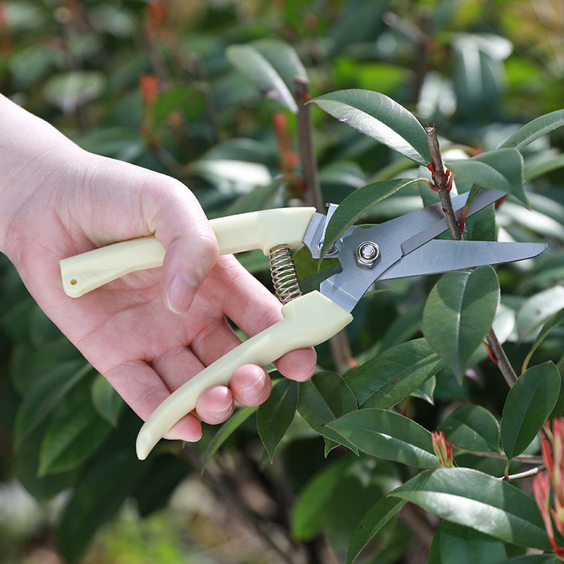مقص تقليم متعدد الوظائف من الف - مراجعة Gardening Tools To Cut Branches وسعره