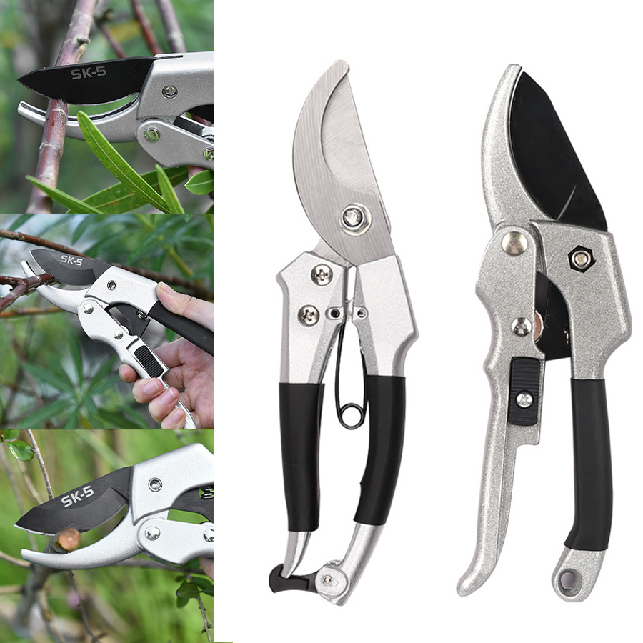 جديد 20 سنتيمتر نبات السقاطة ت - مراجعة Gardening Tools To Cut Branches وسعره