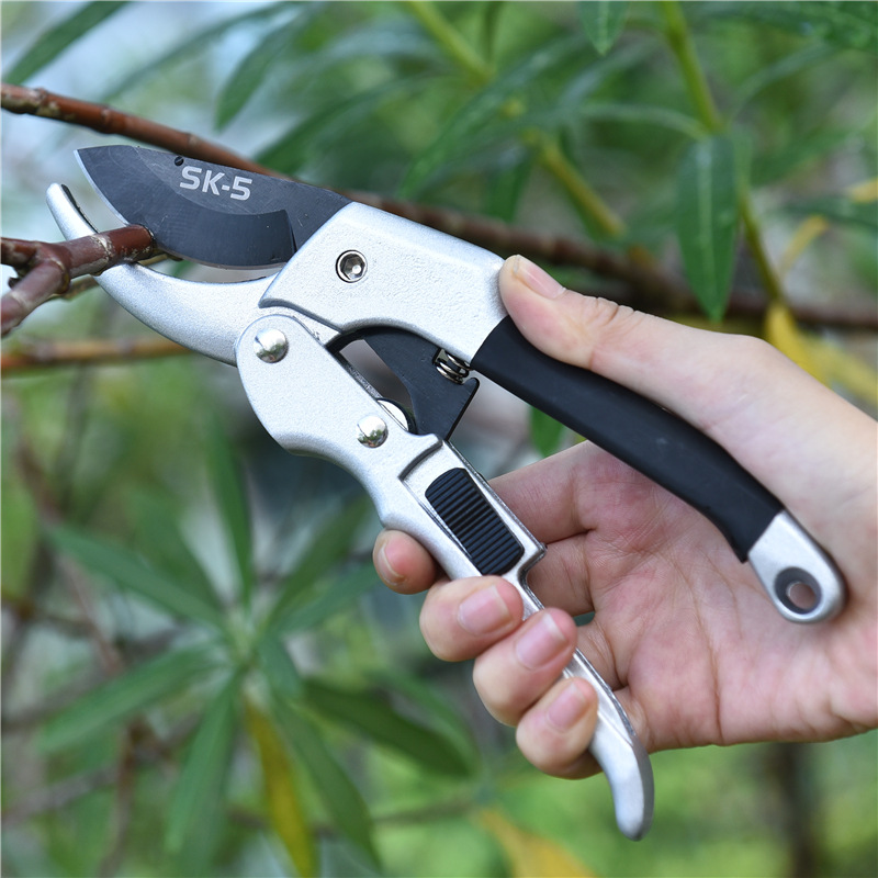 جديد 20 سنتيمتر نبات السقاطة ت - مراجعة Gardening Tools To Cut Branches وسعره