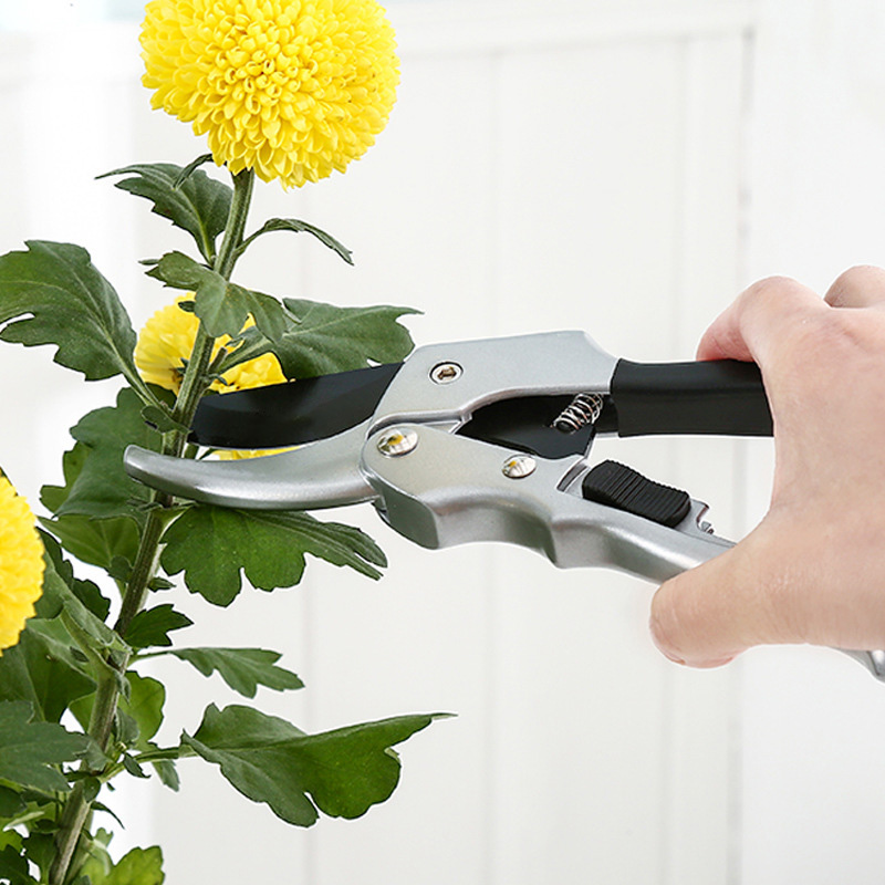 جديد 20 سنتيمتر نبات السقاطة ت - مراجعة Gardening Tools To Cut Branches وسعره
