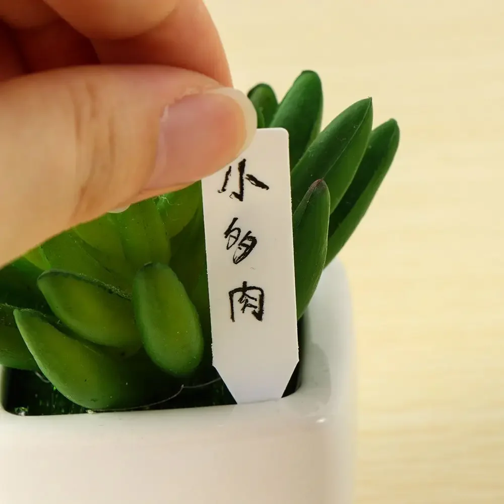 100 قطعة علامة تصنيف قابلة لإع - مراجعة Plant Label Tags وسعره