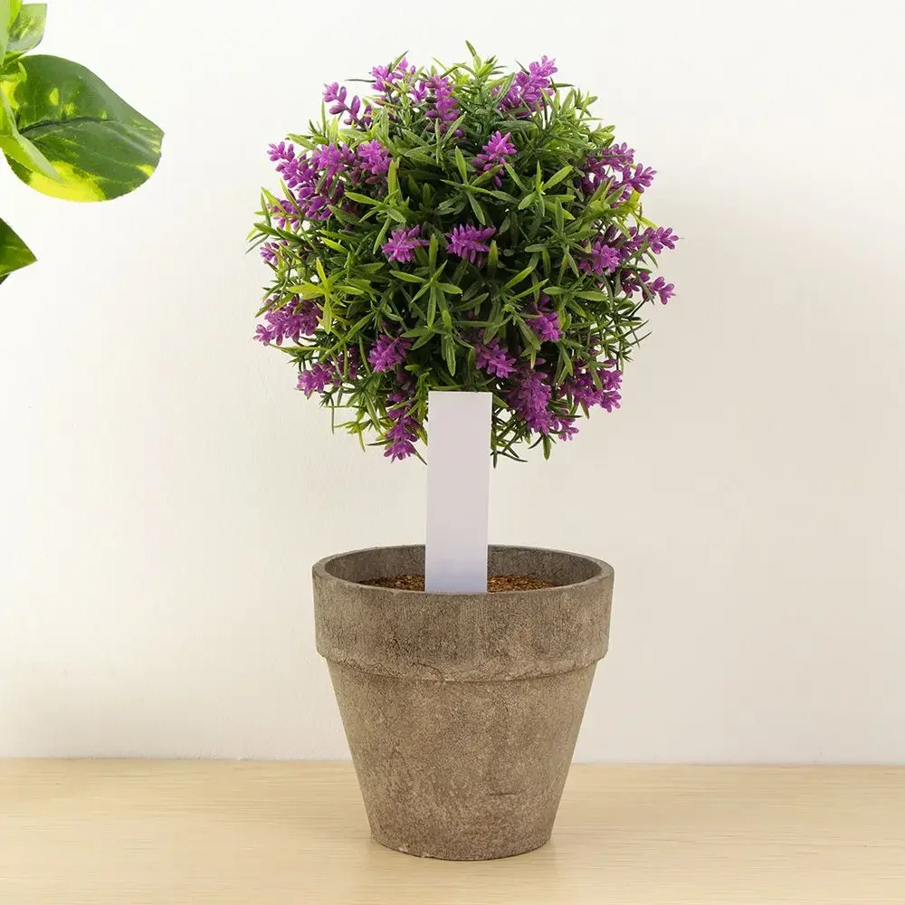 100 قطعة علامة تصنيف قابلة لإع - مراجعة Plant Label Tags وسعره