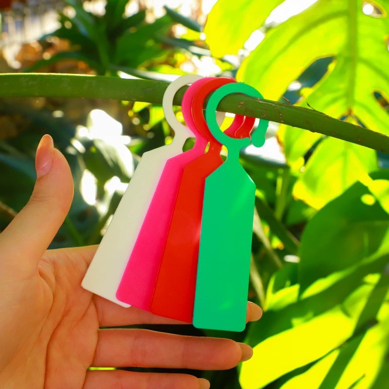 100 قطعة من بطاقات تعريف النبا - مراجعة Plant Label Tags وسعره