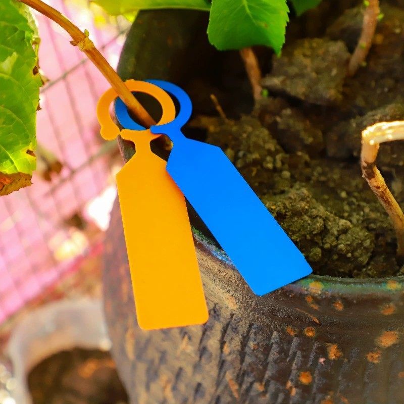 100 قطعة من بطاقات تعريف النبا - مراجعة Plant Label Tags وسعره