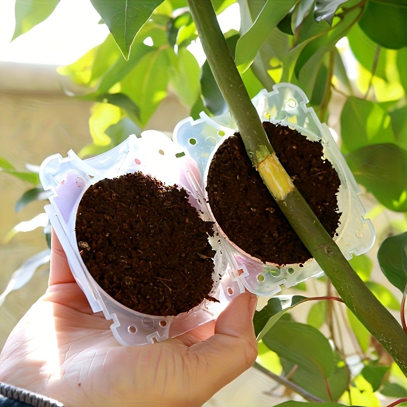 10 قطع من أدوات تكاثر النباتات - مراجعة Gardening Tools To Cut Branches وسعره