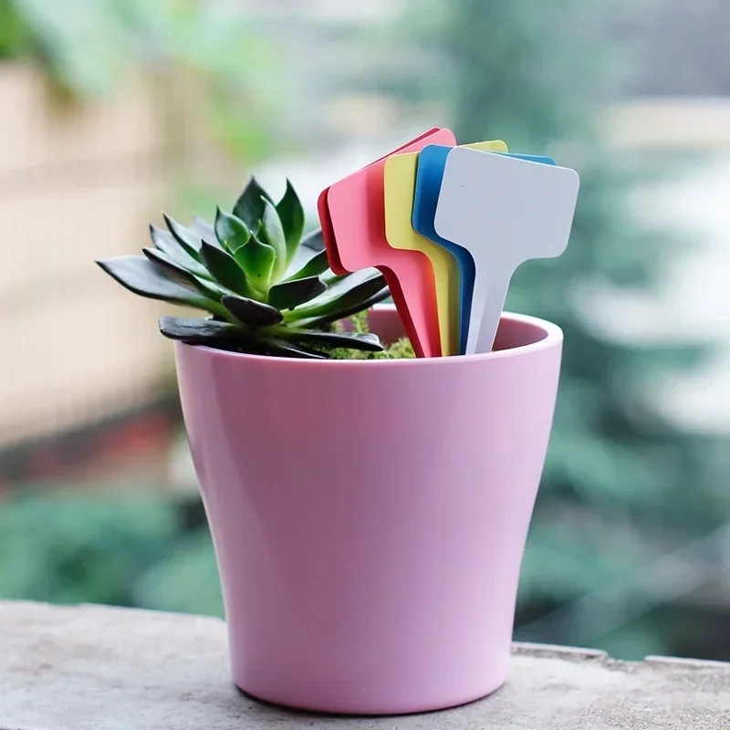 20 قطعة من علامات أسماء النبات - مراجعة Gardening Tools Names وسعره