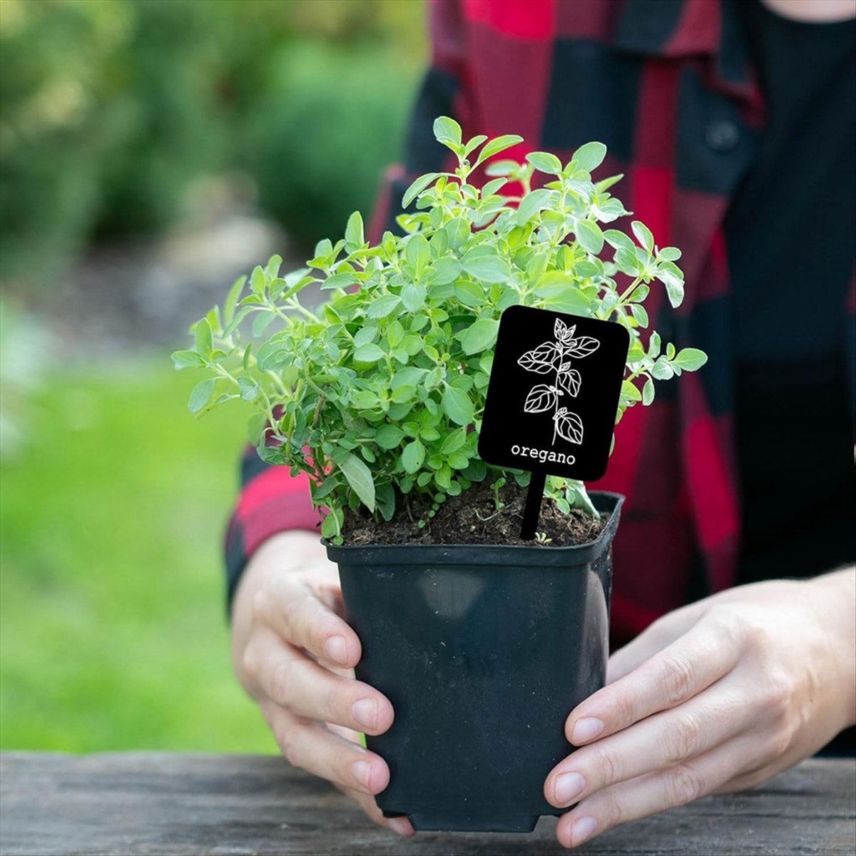 AA14 24 قطعة من لوحات تعريف ال - مراجعة Gardening Tools Names وسعره