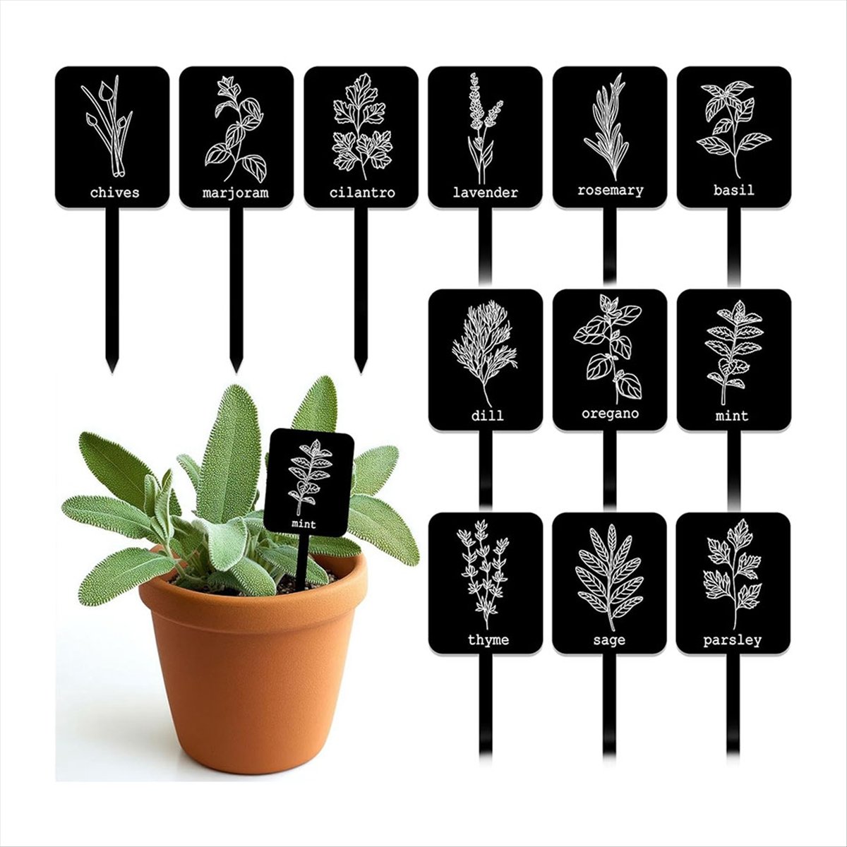 AA14 24 قطعة من لوحات تعريف ال - مراجعة Gardening Tools Names وسعره